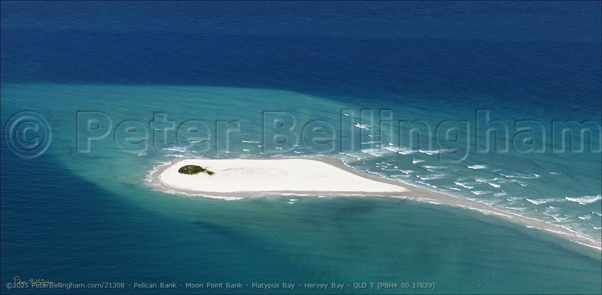 Peter Bellingham Photography Pelican Bank - Moon Point Bank - Platypus Bay - Hervey Bay - QLD T (PBH4 00 17829)